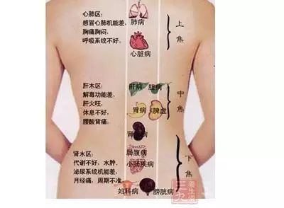 经络术语解释_经络亚健康解释_经络气血亚健康