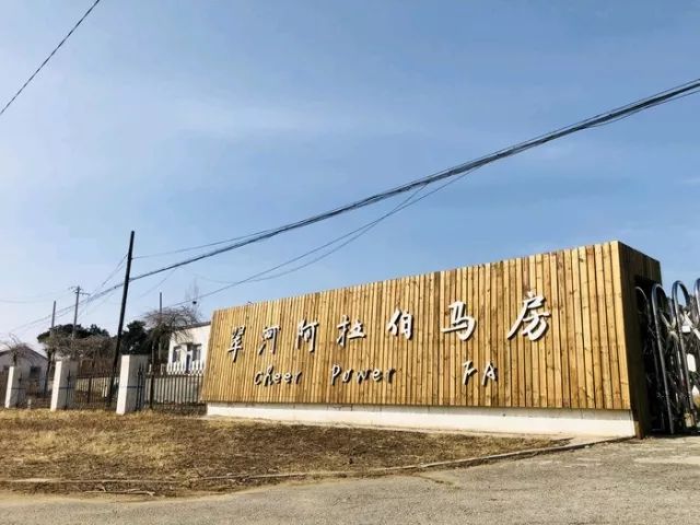 沈阳铁西区健身房私教_沈阳市铁西区健身房_沈阳铁西沈辽路健身房